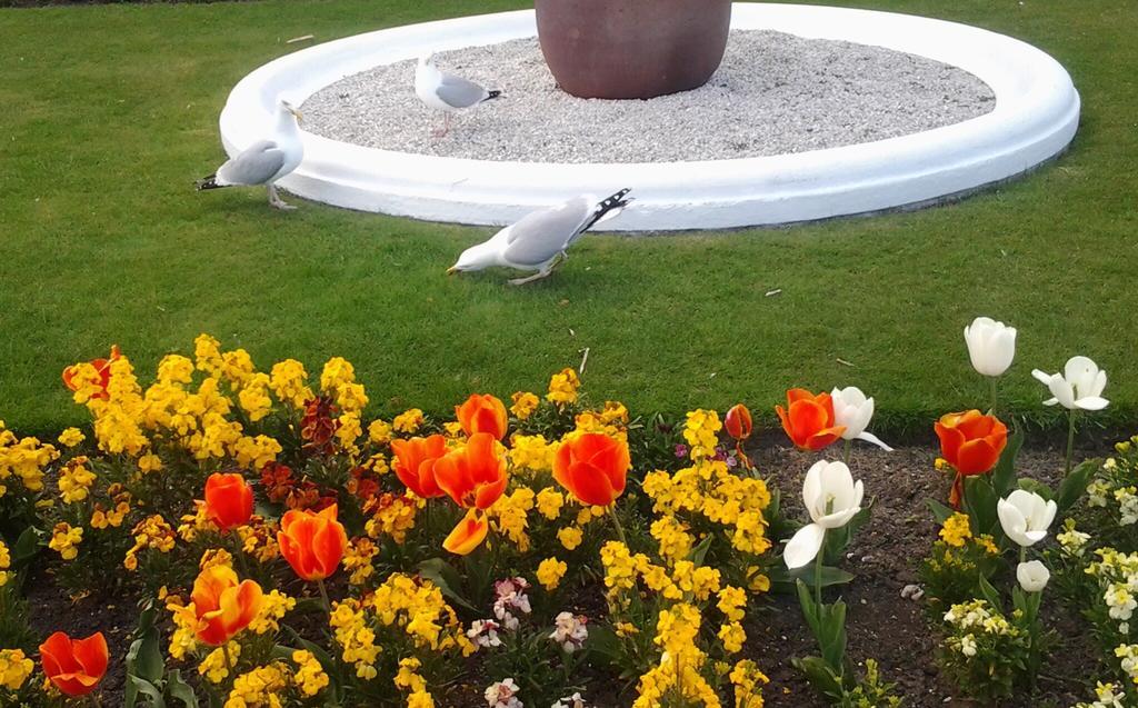 Sterling Lodge Hotel Eastbourne Eksteriør billede